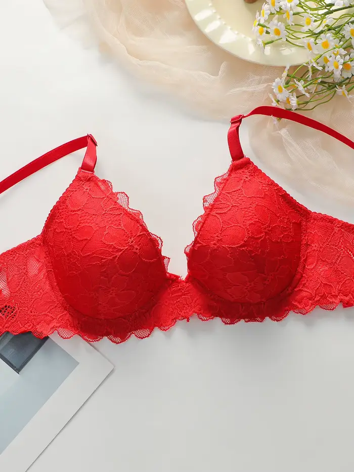 Sada 2 ks v čipke a červenej bavlne, sexy a biela bielizeň set, dámske spodné prádlo set, J3431