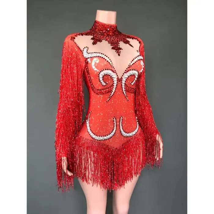Tenue de spectacle féminine transparente grise avec franges strass argentés et perles pour danseurs et célébrations spéciales
