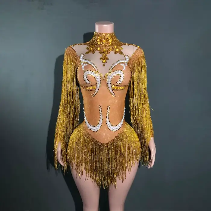 Tenue de spectacle féminine transparente grise avec franges strass argentés et perles pour danseurs et célébrations spéciales