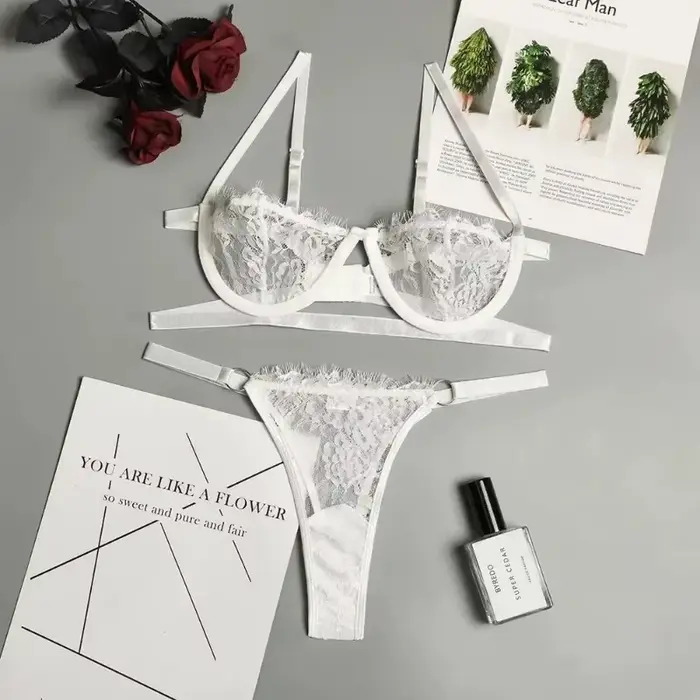 Ensemble soutien-gorge et culotte érotique Sexy pour femme, sous-vêtements transparents en dentelle, broderie féerique, Kit de soutien-gorge délicat, Push Up, ensemble Breves