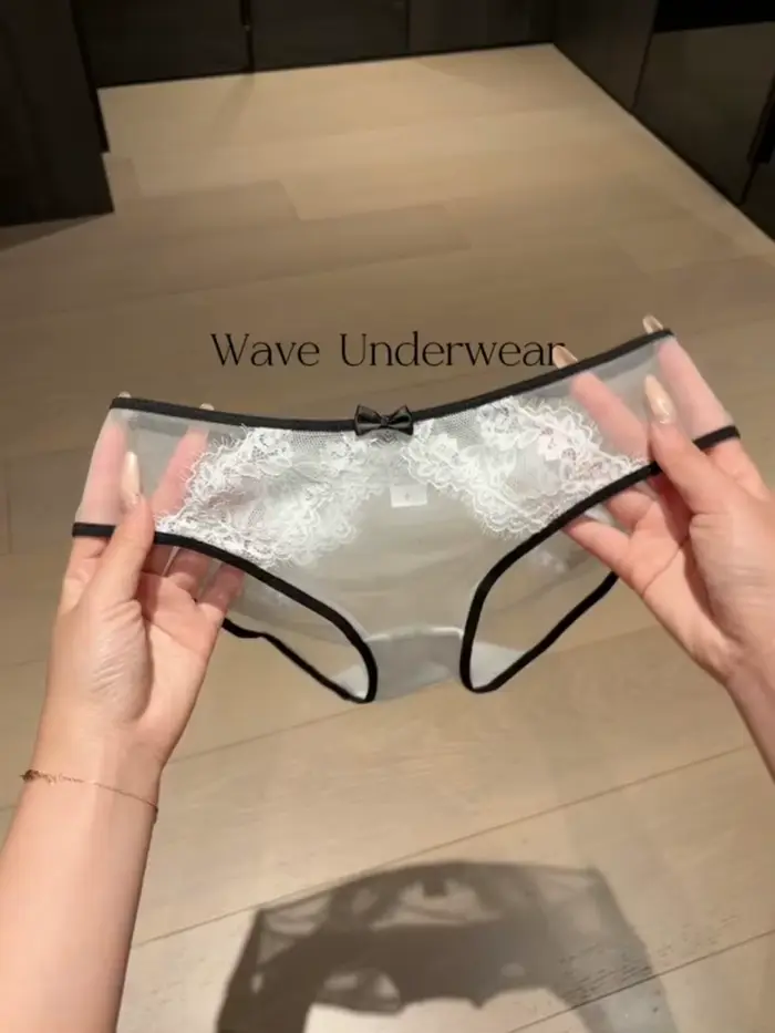 Culotte Triangle Femme Dentelle Transparente et Respirante Style Romantique Français Lingerie Sexy et Intime Pure Désir Occasions Spéciales