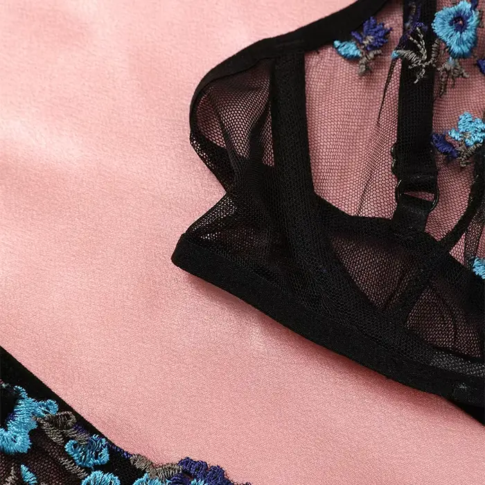 Ensemble de lingerie en dentelle transparente brodée pour femmes, sexy, avec soutien-gorge push-up et culottes dégradées, élégant et confortable pour toutes les occasions spéciales
