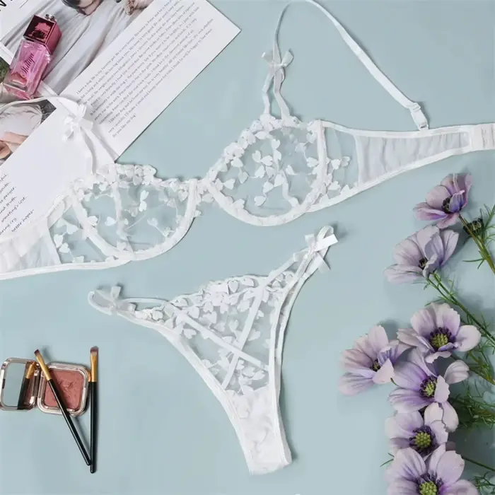 Dámske srdce vyšívané čipky Bra Set, 2 kusy, priehľadná podprsenka, nohavičky, spodná bielizeň, sexy dámske spodné prádlo, 2023