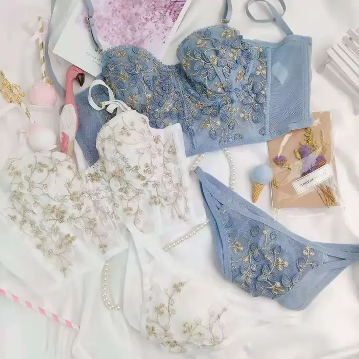 Dámske sexy vyšívané čipky spodná bielizeň Set, Retro spodná bielizeň, pohodlné podprsenka, Push-Up podprsenka, svadobné nohavičky sady