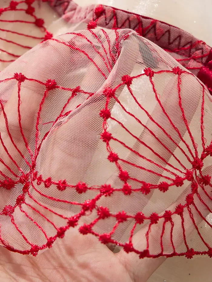 Ensemble de lingerie brodée rouge bordeaux pour la Saint-Valentin - Ensemble de soutien-gorge sexy en maille transparente froncée en deux pièces ZA825287