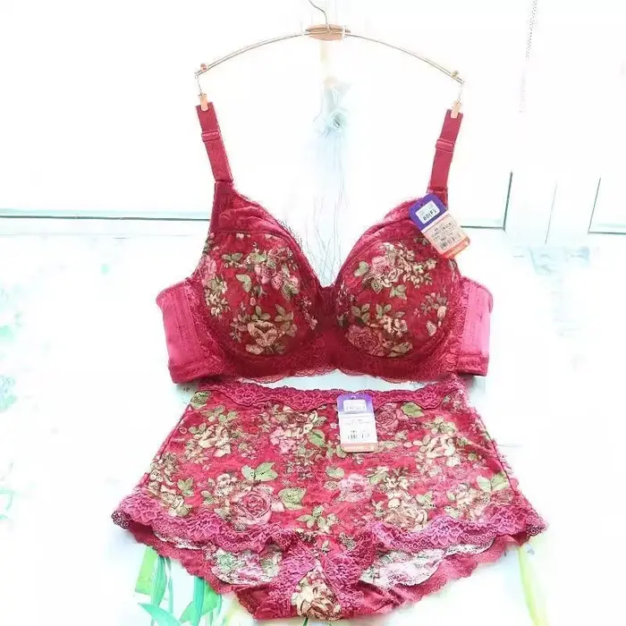 Ensemble de lingerie élégant en nylon et élasthanne avec broderie pour femmes, soutien-gorge push-up minimizer avec fermeture avant, ensembles de lingerie pour occasions spéciales