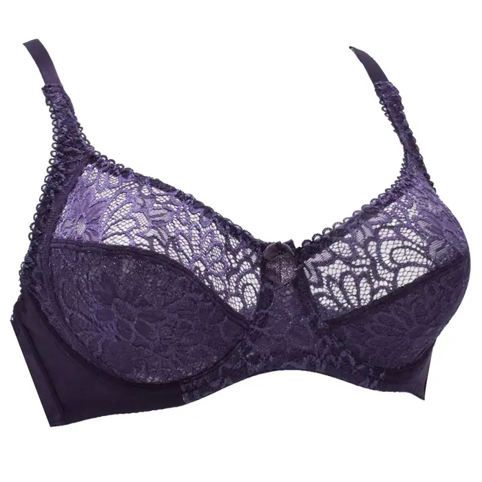 Plus veľkosť Dámska podprsenka, čipka podprsenka, priehľadná, veľká podprsenka, spodná bielizeň, sexy spodná bielizeň, Beanie C D D E F