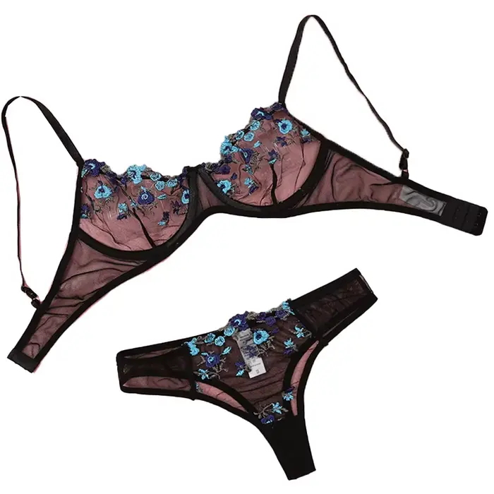 Ensemble de lingerie en dentelle transparente brodée pour femmes, sexy, avec soutien-gorge push-up et culottes dégradées, élégant et confortable pour toutes les occasions spéciales