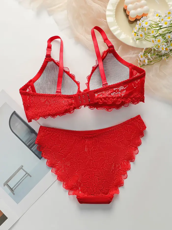 Sada 2 ks v čipke a červenej bavlne, sexy a biela bielizeň set, dámske spodné prádlo set, J3431