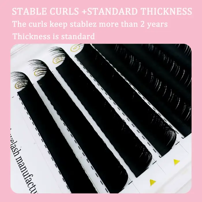 Camélia faux cils 0.05 0.07 LJ LC LB curl Extensions de cils doux faux cils mise à niveau Premium ci