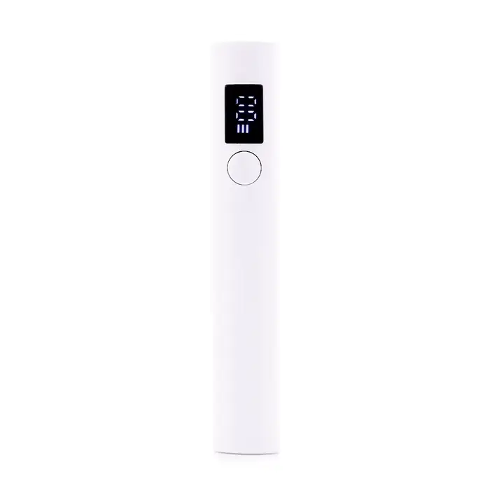 1 pièces lampe UV portative 2W longueur d'onde 365nm395nm lampe à ongles professionnelle sèche lampe