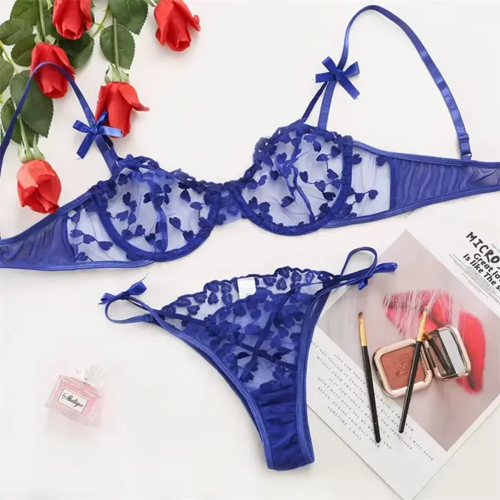 Dámske srdce vyšívané čipky Bra Set, 2 kusy, priehľadná podprsenka, nohavičky, spodná bielizeň, sexy dámske spodné prádlo, 2023