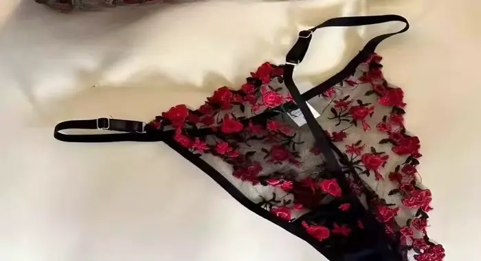 Soutien-gorge brodé en dentelle pour femme, ultra-fin, transparent, sans rembourrage, avec armatures