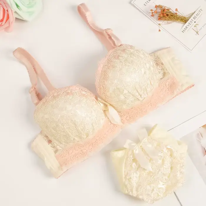 Push-up podprsenka a nohavičky set, krása späť, Sexy spodná bielizeň pre ženy, čipka podprsenka, vyšívané spodná bielizeň set