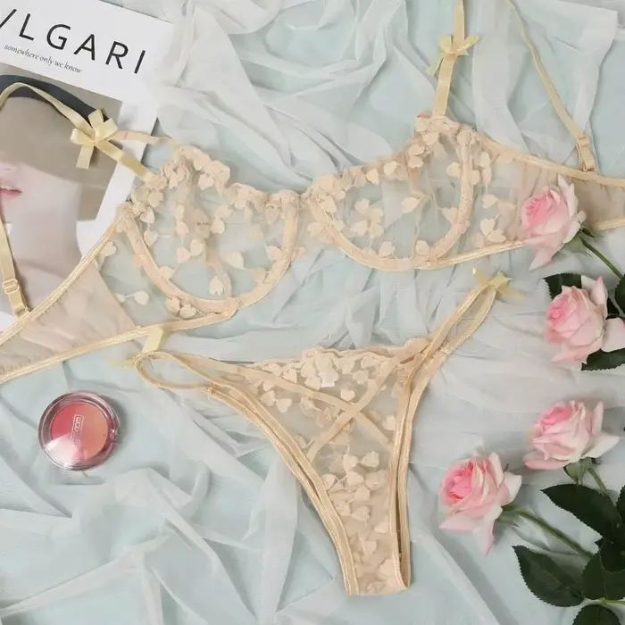 Dámske srdce vyšívané čipky Bra Set, 2 kusy, priehľadná podprsenka, nohavičky, spodná bielizeň, sexy dámske spodné prádlo, 2023