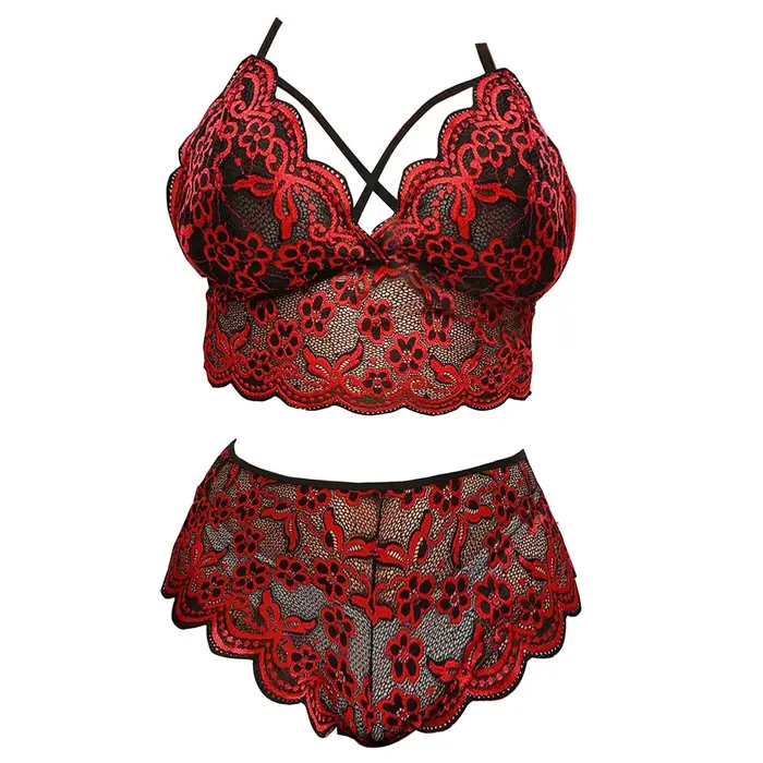 Sexy Dámske spodné prádlo Set WhooHoo v polyestere s nášivkami pre ženy Špeciálne príležitosti bezšvíkové Sexy spodná bielizeň s predným uzáverom a non-nastaviteľné popruhy