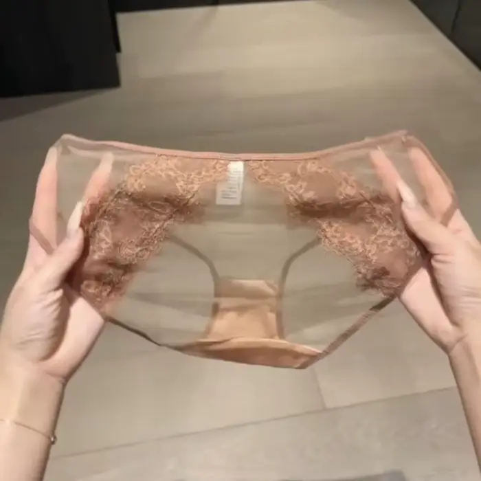 Culotte Triangle Femme Dentelle Transparente et Respirante Style Romantique Français Lingerie Sexy et Intime Pure Désir Occasions Spéciales