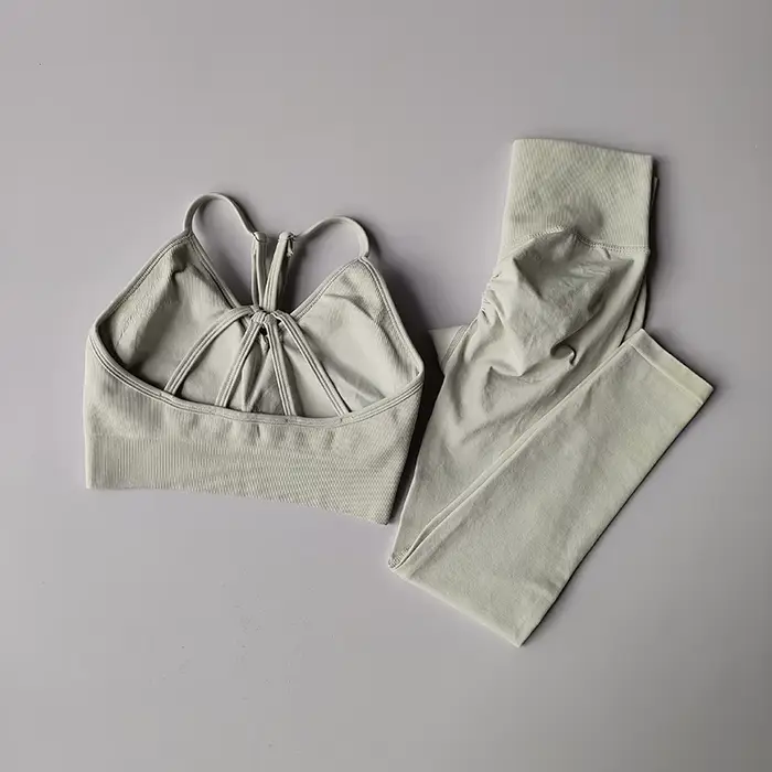 Soutien-gorge de sport sans couture pour femmes, 2 pièces, combinaison de Yoga, séchage rapide, leva