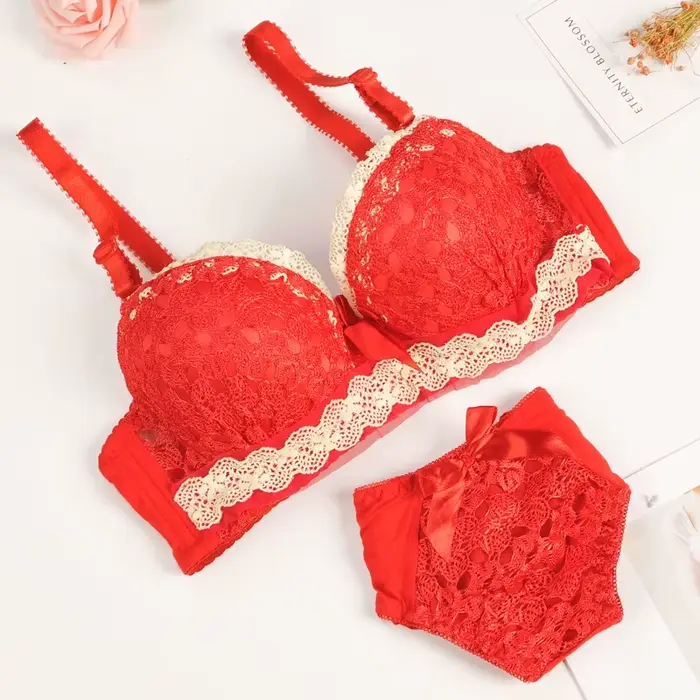 Push-up podprsenka a nohavičky set, krása späť, Sexy spodná bielizeň pre ženy, čipka podprsenka, vyšívané spodná bielizeň set