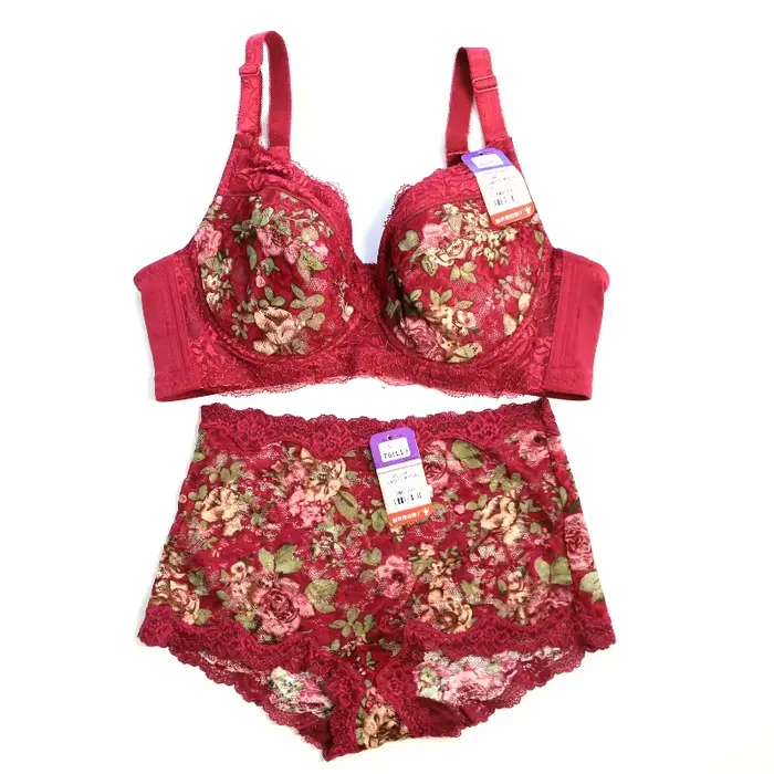 Ensemble de lingerie élégant en nylon et élasthanne avec broderie pour femmes, soutien-gorge push-up minimizer avec fermeture avant, ensembles de lingerie pour occasions spéciales