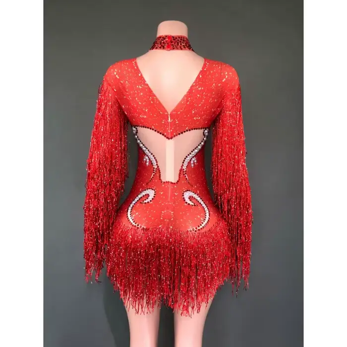 Tenue de spectacle féminine transparente grise avec franges strass argentés et perles pour danseurs et célébrations spéciales