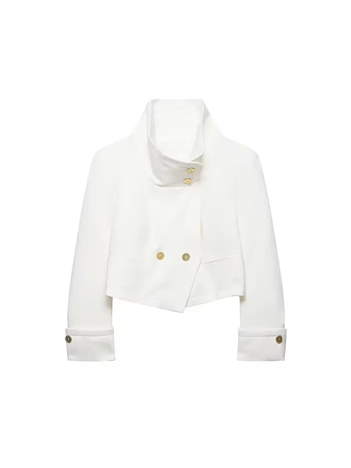 TFMLN – veste élégante pour femmes, couleur unie, manches longues, col montant, boutonnée, courtes,