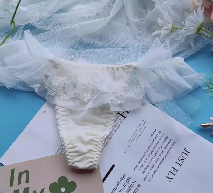 Culotte à volants en dentelle brodée, culotte tanga, sous-vêtements mignons, Lolita Kawaii, princess