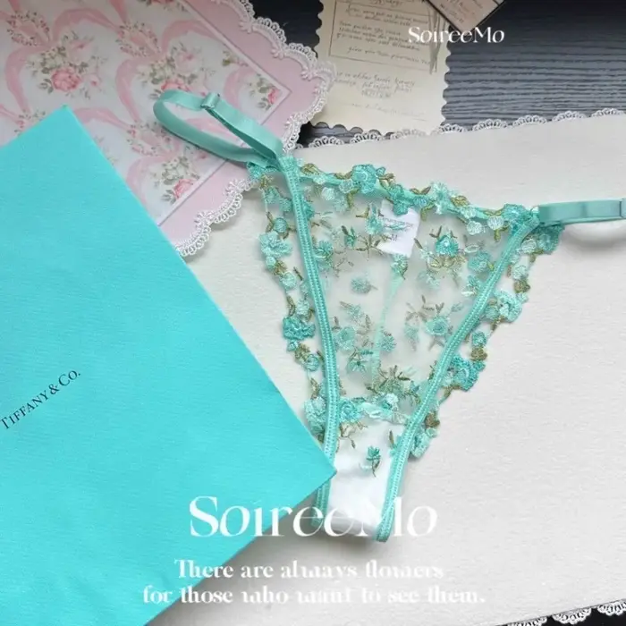 Ensemble de soutien-gorge en dentelle française élégante broderie florale lingerie de luxe pour femmes grandes tailles occassions spéciales