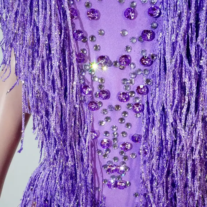 Costume de danse pour femmes élégant avec strass scintillants et franges pour spectacle, boîte de nuit, concours et célébrations diverses