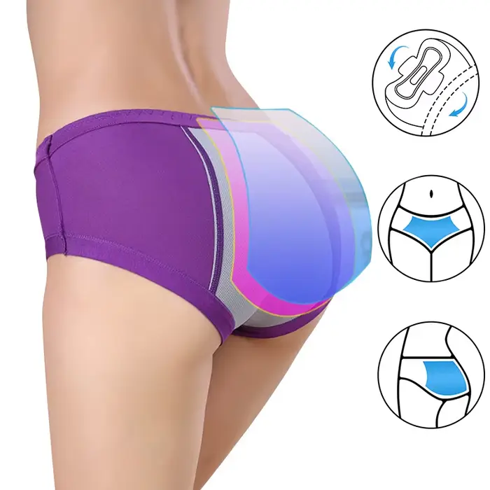 Culotte Menstruelle Physiologique pour Femme, Sous-Vêtements en Coton Absorbant l'Eau, Slip à vaccage Rapide, Lingerie Féminine, Grande Taille