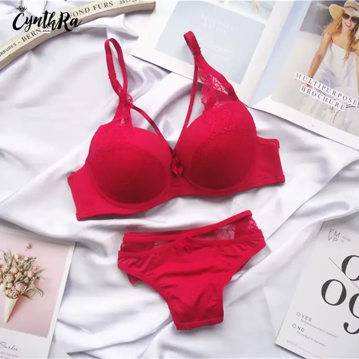 Spodná bielizeň Podprsenka Dámske spodné prádlo Sekcia Sexy priedušná žena Plus veľkosť čipky Push Up Bralette Bra a nohavičky Set