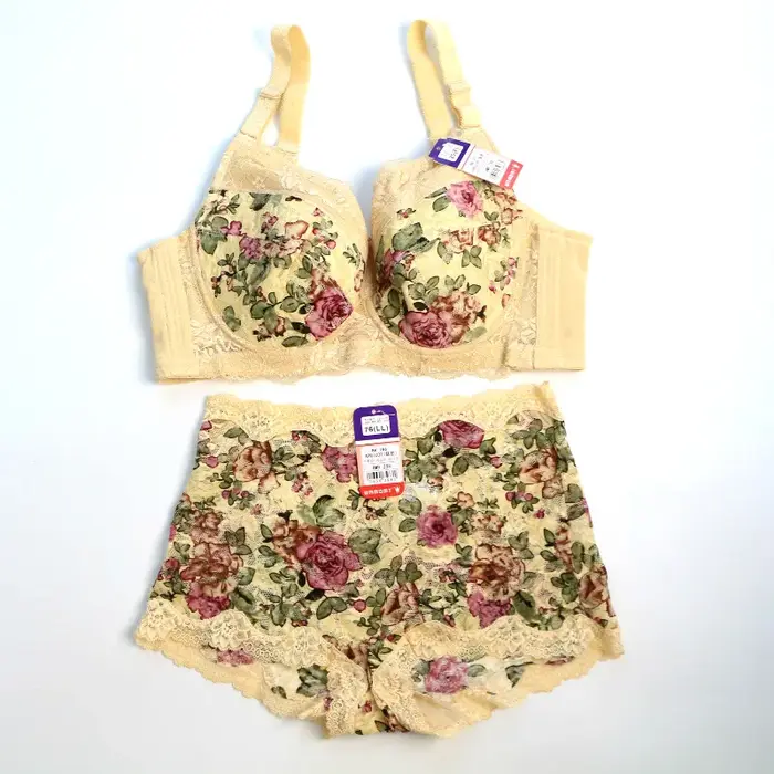 Ensemble de lingerie élégant en nylon et élasthanne avec broderie pour femmes, soutien-gorge push-up minimizer avec fermeture avant, ensembles de lingerie pour occasions spéciales