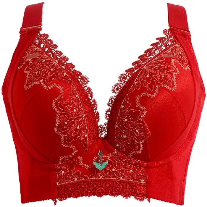Soutien-gorge brodé en élasthanne et coton pour femmes grande taille confortable broderie sans armature pour tous les jours occassions spéciales